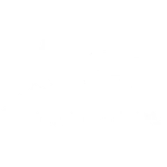 Genium Group 標誌